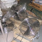 Five Fans