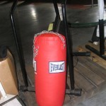 everlast punching bag