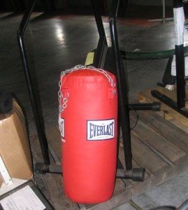 Punching Bag | Government Auctions Blog