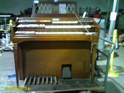 Wurl Organ