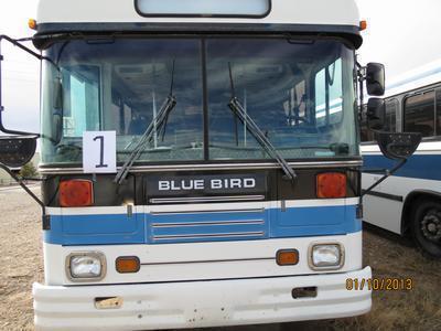 1995 Bluebird