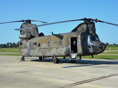 chinook